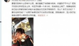 林澈大姐爆料视频大全,揭秘幕后真相与精彩瞬间
